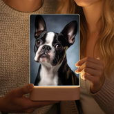 lampa 140x210 vyrez-gigapixel-low_res-scale-6_00x